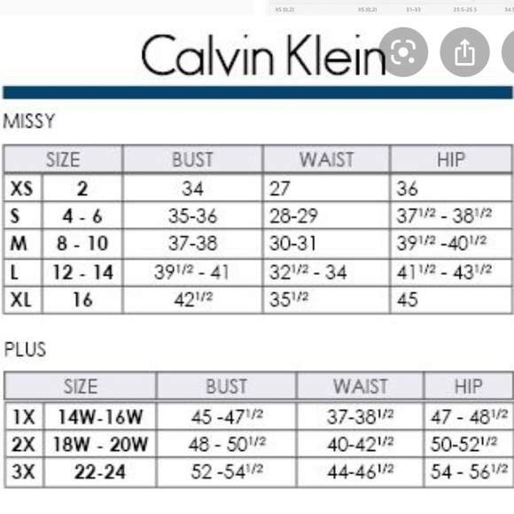 Calvin Klein Sheer WATERCOLOR Stripe Shift Dress - Picture 7 of 7